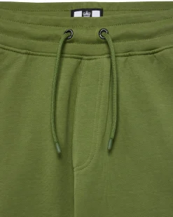 Pink Sands Joggingshorts Sapling Grün